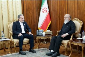 دیدار و گفت‌وگوی رئیس شورای شهر تهران با سید عباس عراقچی