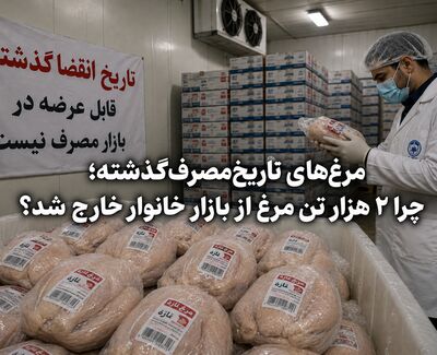 مرغ‌های تاریخ‌مصرف‌گذشته؛ چرا ۲ هزار تن مرغ از بازار خانوار خارج شد؟