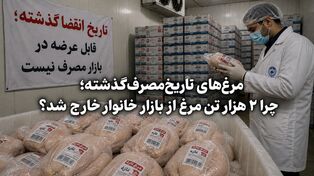 مرغ‌های تاریخ‌مصرف‌گذشته؛ چرا ۲ هزار تن مرغ از بازار خانوار خارج شد؟