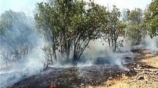 موج گرمای شدید در کردستان؛ افزایش خطر آتش‌سوزی در جنگل‌ها و مراتع