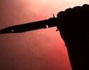 قمه‌کشی و حمله به پلیس در تهران/ متهم به دام افتاد