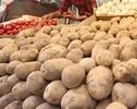 سیب‌زمینی ارزان در راه بازار؛ قیمت جدید اعلام شد