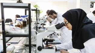رئیس آزمایشگاه مرجع سلامت: بیش از ۸ هزار آزمایشگاه در کشور فعال هستند