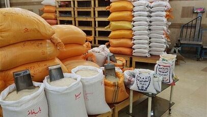 برنج هاشمی، طارم، عنبر بو و شیرودی کیلویی چند؟ + جدول قیمت انواع برنج ایرانی