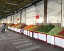 قیمت میوه و تره‌بار امروز تهران؛ لیموشیرین و پیاز گران شدند، مرغ و تخم‌مرغ ثابت ماندند