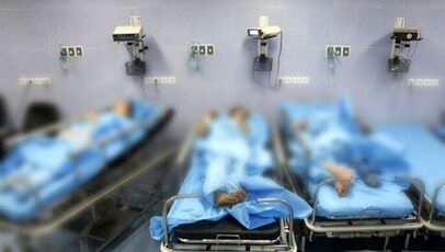 اسفناج آلوده به گیاه سمی در بجنورد؛ یک بازداشت پس از مسمومیت شهروندان