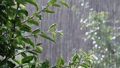 پیش بینی آب و هوای استان‌ها امروز  سه‌شنبه ۲۰ مرداد ۱۴۰۵