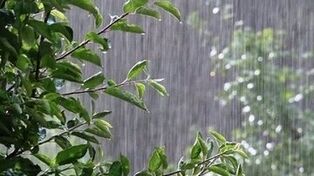 پیش‌بینی آب و هوای اول مهر ۱۴۰۵؛ افزایش دما در بیشتر مناطق کشور