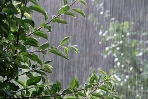 پیش بینی آب و هوای استان‌ها امروز شنبه ۲۴ مرداد ۱۴۰۵