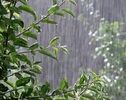 هواشناسی تهران امروز ۲ آبان؛ کاهش دما و احتمال بارش