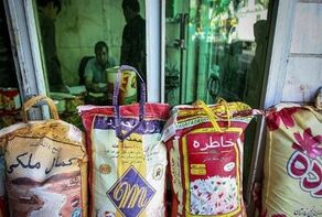 افزایش واردات، قیمت برنج پاکستانی را در بازار ایران کاهش داد