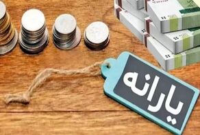 بازبینی دهک‌بندی یارانه‌بگیران جدی‌تر شد؛ چه عواملی یارانه خانوار را در معرض قطع قرار می‌دهد؟

