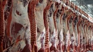 حذف سقف و سابقه برای واردات گوشت و محصولات کشاورزی
