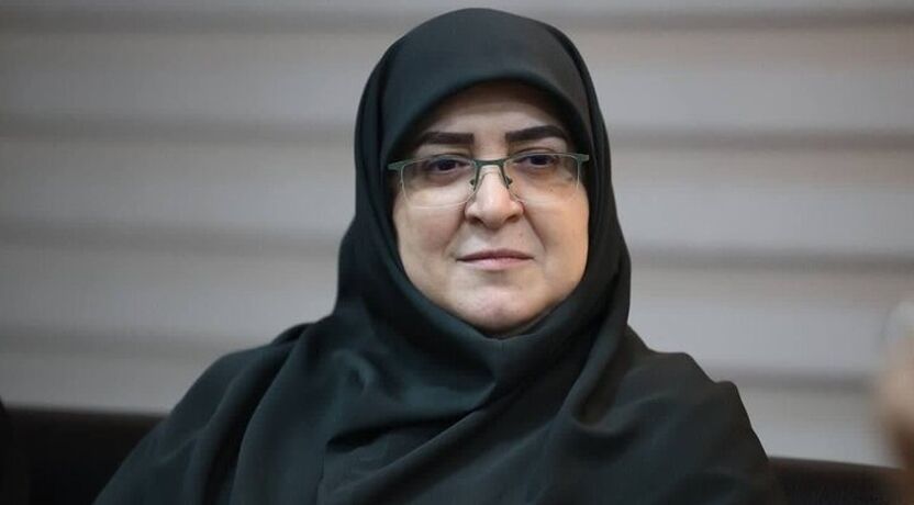 واکنش سخنگوی دولت به حمله با سنگ به عراقچی