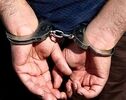 ۶۷ هکتار زمین زیر تیغ جعل؛ ۴۸ نفر چگونه در تور قوه قضاییه افتادند؟