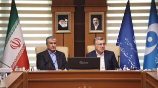 اسلامی و ظفرقندی توافق کردند؛ استفاده از فناوری پرتودهی برای کنترل پشه آئدس