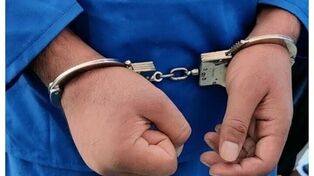 دستگیری متهم به قتل نیلوفر مجاور هنگام خروج از کشور