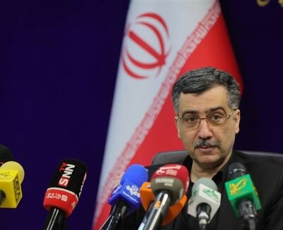 تحقیقات درباره آثار بمباران لامرد برای انتشار در مجلات بین‌المللی آماده شد